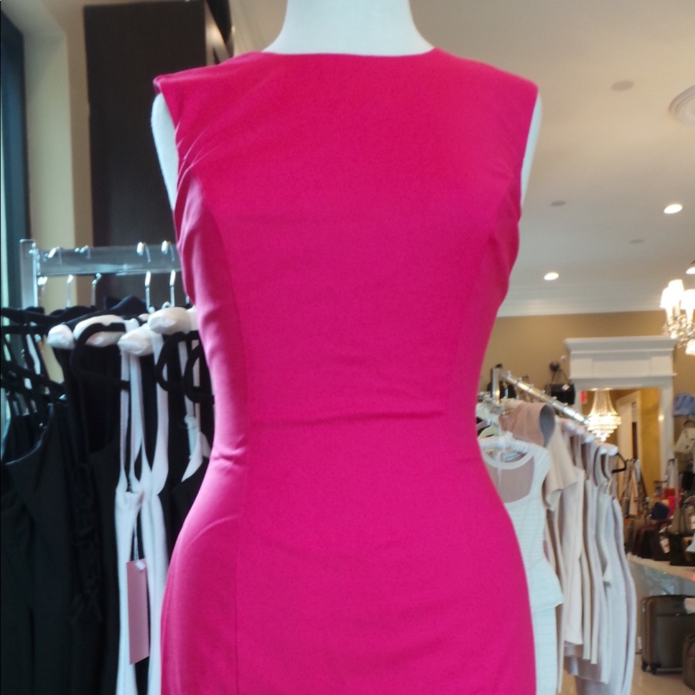 Pink French Connections Sleeveless Dress
